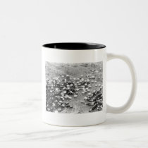 Beauty mugs