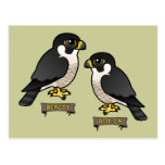 Beauty & Dot.Ca Postcards
