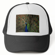 Beauty for all too see hats