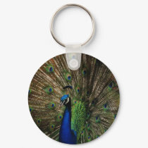 Beauty for all too see keychains by lover196969 Beauty for all too see keychains