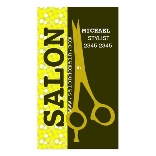 Beauty Hair Salon Professional Trendy Sheers Business Cards (front side)