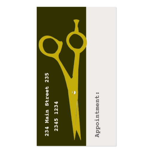 Beauty Hair Salon Professional Trendy Sheers Business Cards (back side)