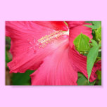 Beauty In A Flower posters