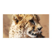 Beauty In A Runner photo cards by laureenr Beauty In A Runner photo cards