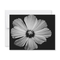 Beauty in Black and White invitations by ptvertible Beauty in Black and White invitations