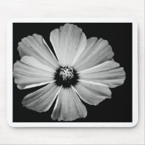 Beauty in Black and White mousepads by ptvertible Beauty in Black and White mousepads