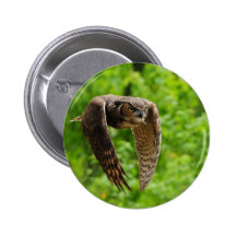 Beauty in flight buttons
