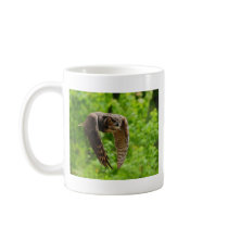 Beauty in flight coffee mug