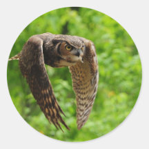 Beauty in flight round stickers