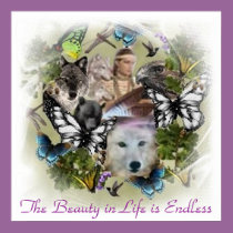Beauty in Life is Endless posters