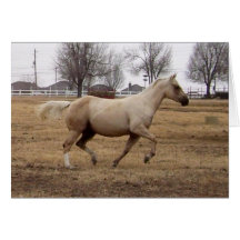 Beauty in Motion - Customizable Card