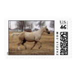 Beauty in Motion postage