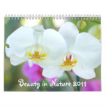 Beauty in Nature 2011 Wall Calendars