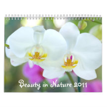 Beauty in Nature 2011 Wall Calendars