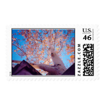 Beauty in Nature postage