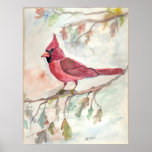 Beauty in Red Poster