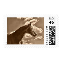 Beauty in the clouds postage stamp