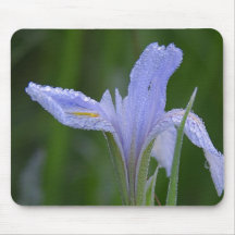 Beauty In The Eye of the Beholder Mouse Pad