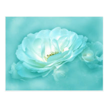BEAUTY IN THE MIST POSTCARDS