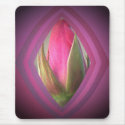 Beauty in the Shadows mousepads by SeaAngel Beauty in the Shadows mousepads
