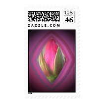 Beauty in the Shadows postage by SeaAngel Beauty in the Shadows postage