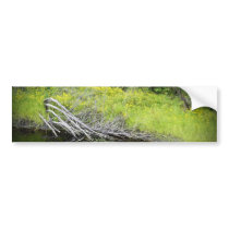 Beauty in the swamp bumper stickers