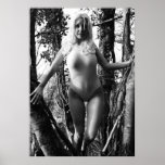 Beauty in the Tree posters