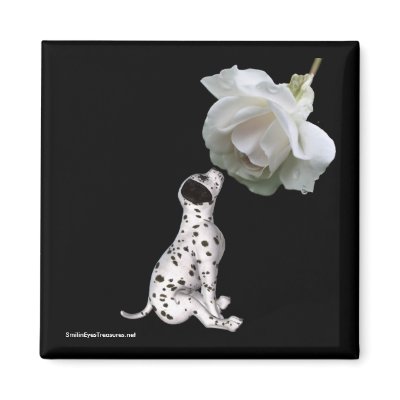 Beauty Innocence Dalmatian And Rose Flower Magnet by SmilinEyesTreasures