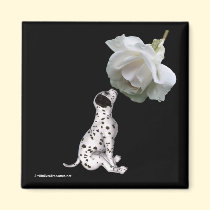 Beauty Innocence Dalmatian And Rose Flower Magnet