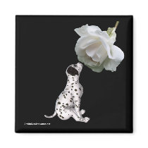Beauty Innocence Dalmation And Rose Flower Magnet by SmilinEyesTreasures Beauty Innocence Dalmation And Rose Flower Magnet