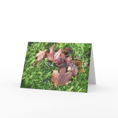 Beauty & Inspiration - Card by VortexMania