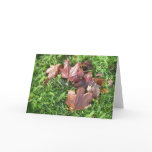 Beauty &amp; Inspiration - Card