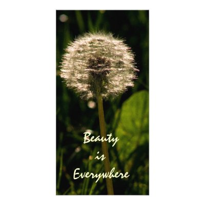 Beauty is Everywhere Photo Cards by mlcltd