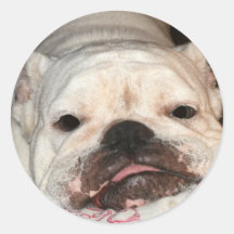Beauty is my burden sticker