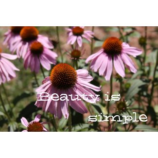 Beauty is simple print