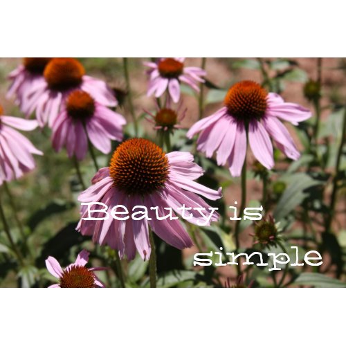 Beauty is simple print
