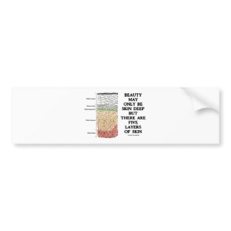 Beauty May Be Skin Deep But Five Layers Of Skin bumpersticker