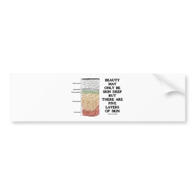 Beauty May Be Skin Deep But Five Layers Of Skin Bumper Sticker by wordsunwords
