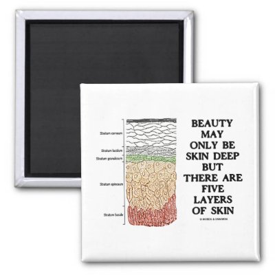 layers of skin. Beauty May Be Skin Deep But Five Layers Of Skin Magnet by wordsunwords