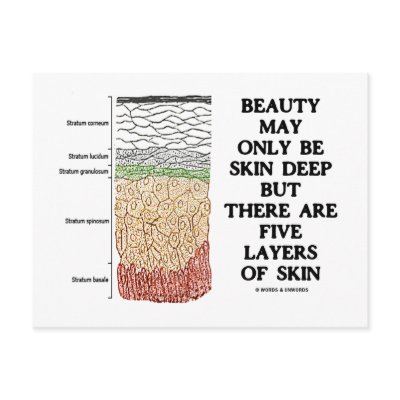 Beauty May Be Skin Deep But Five Layers Of Skin Postcards by wordsunwords