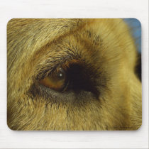 Beauty mousepads