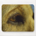 Beauty mousepads