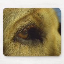 Beauty mousepads