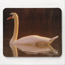 Beauty mousepads