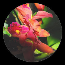 Beauty of an Orchid-2 stickers