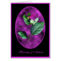 Beauty of Nature #C106 cards