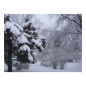 Beauty Of Nature Collection posters by Lutonya Beauty Of Nature Collection posters
