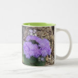 beauty of nature Mug mugs