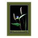 Beauty of Nature r/p06 posters