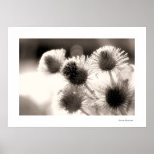 Beauty of weed 6 poster